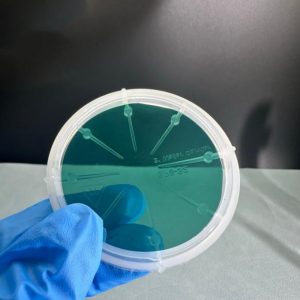 2 inch 6h n silicon carbide (sic) wafer – single crystal substrate 350μm / 650μm